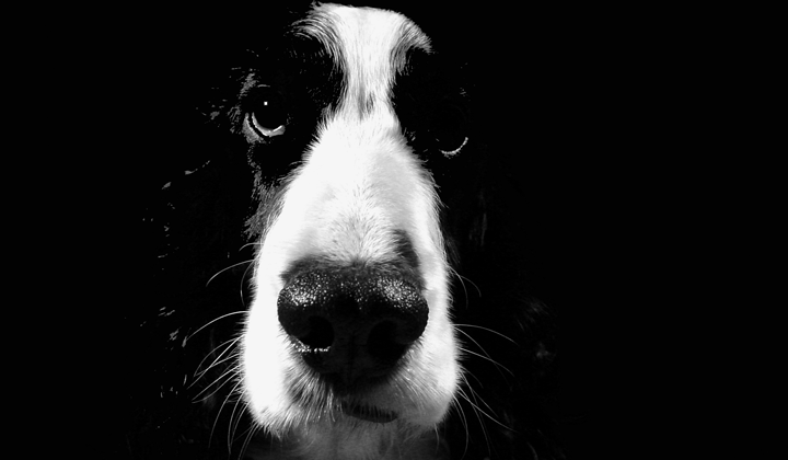 Advertising - Baxter